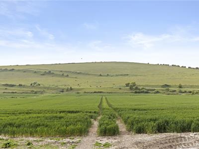 Picture 20